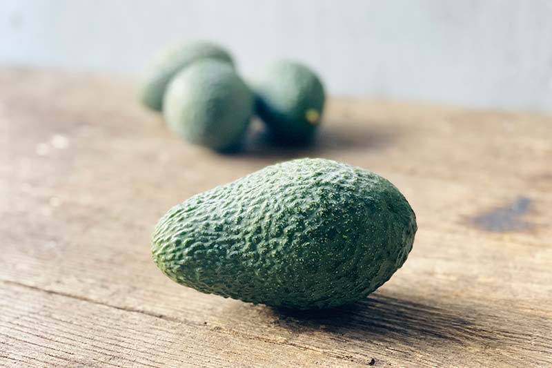 Sharwil Avocado