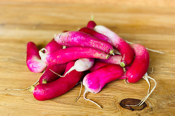 French Breakfast Radish