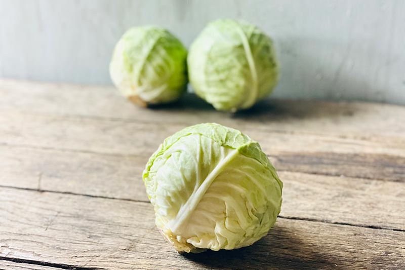 Green Cabbage