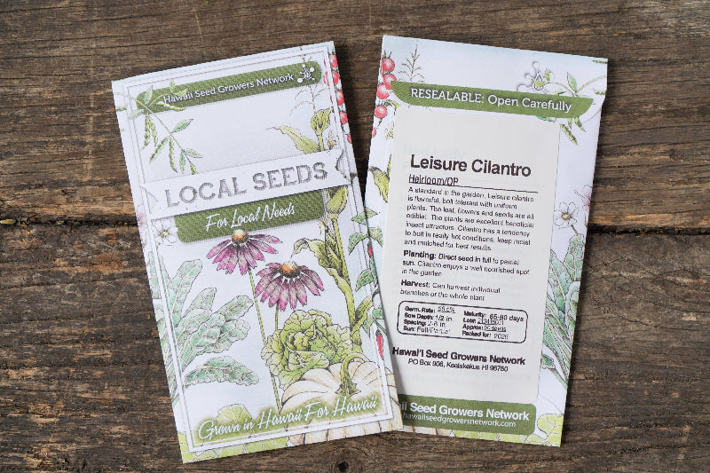 Cilantro Seeds