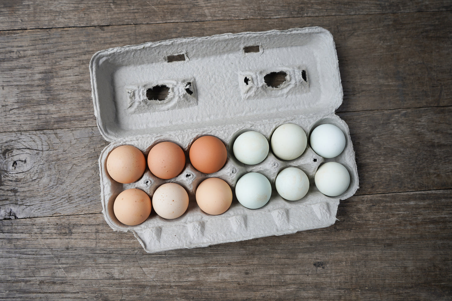 Pasture-Raised Chicken Eggs