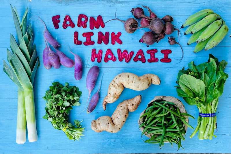 Seasonal Produce Box