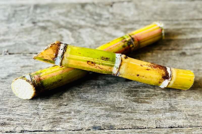 Green Sugarcane