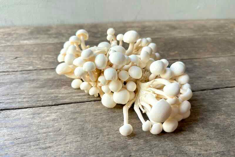 Hon Shimeji Mushroom