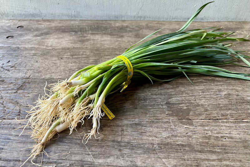 Organic Baby Leek