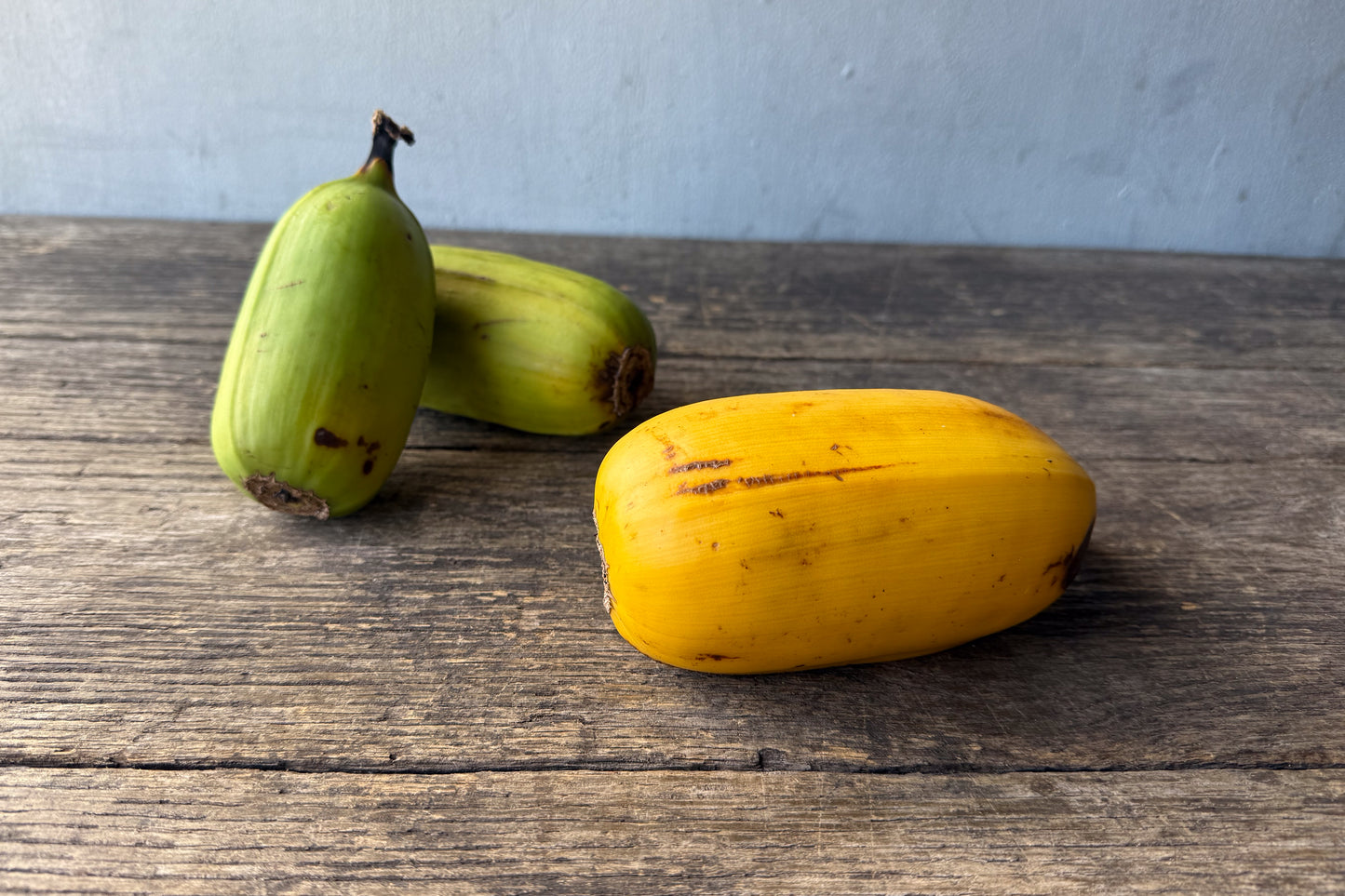 Organic Pōpōʻulu Banana