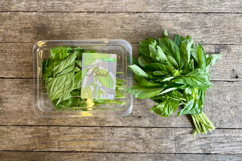 Italian Basil