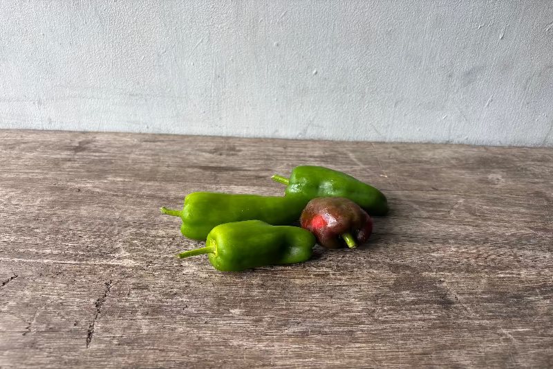Organic Jimmy Nardello Pepper