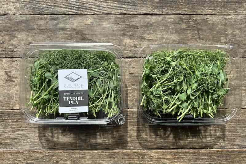Pea Tendrils