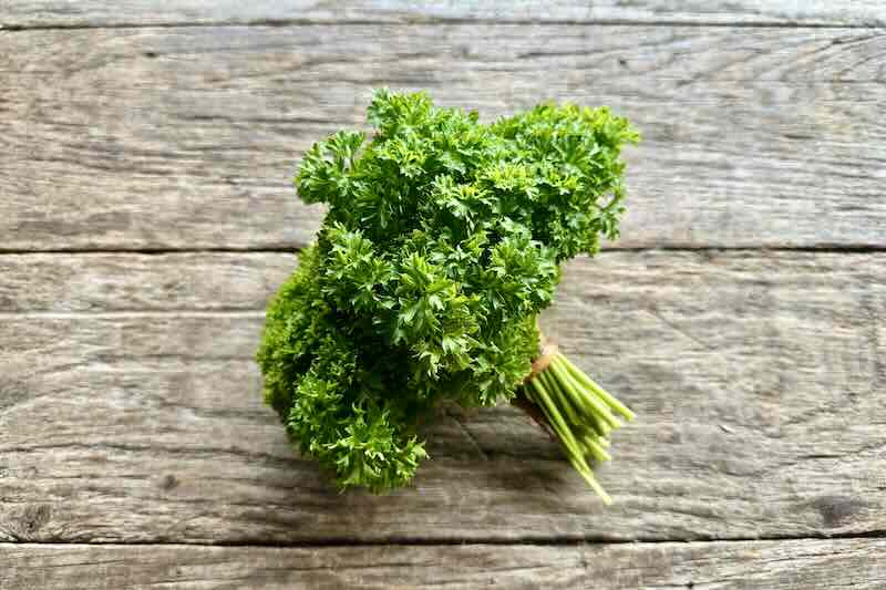 American Parsley