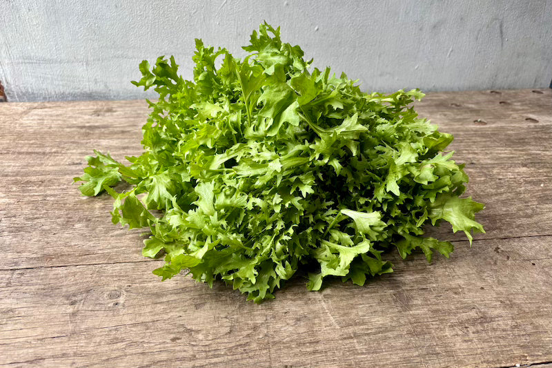 Organic Endive