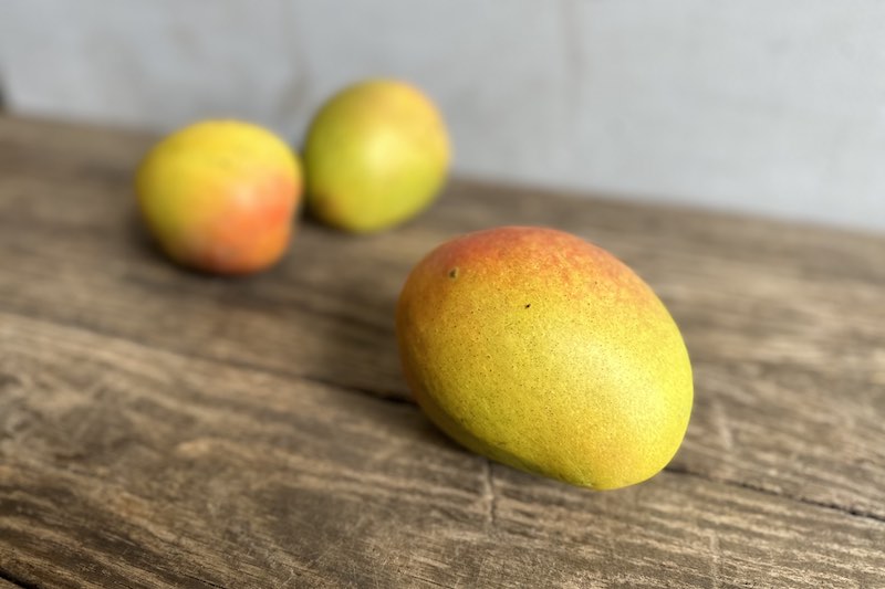 Kensington Pride Mango – Farm Link Hawaiʻi