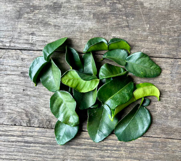 Organic Makrut Lime Leaf