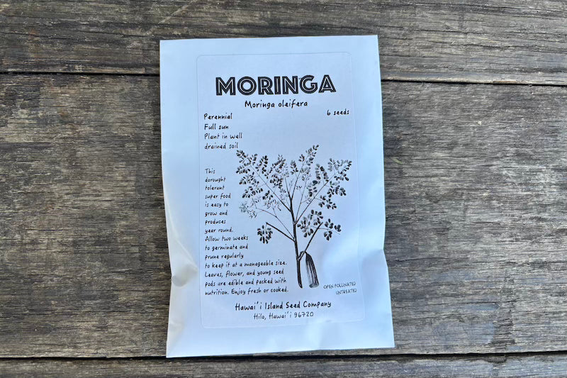 Moringa Seeds