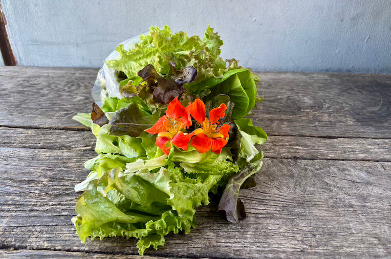 Organic Salad Mix