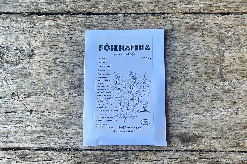 where to buy native plant seeds Pōhinahina Seeds – Farm Link Hawaiʻi