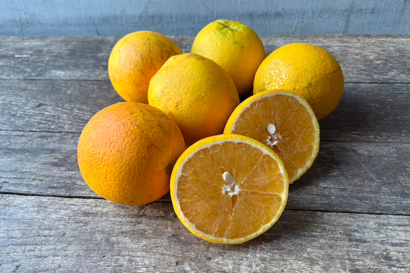 Valencia Orange