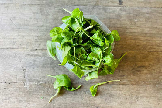 Organic Baby Arugula