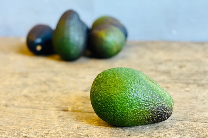 Malama Avocado