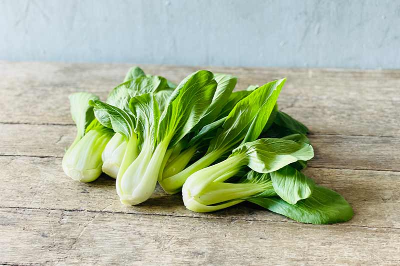 Organic Baby Bok Choy (Wholesale)