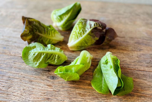 Baby Romaine Lettuce