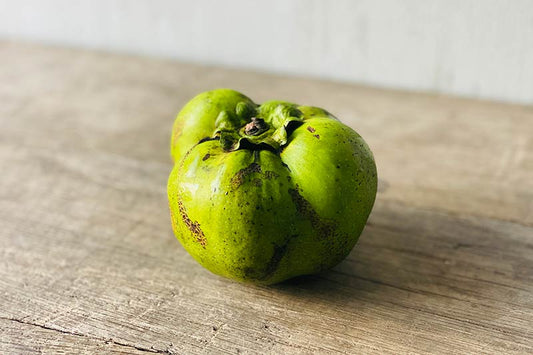 Black Sapote