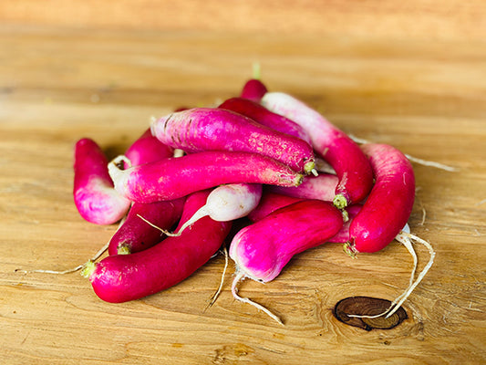 French Breakfast Radish