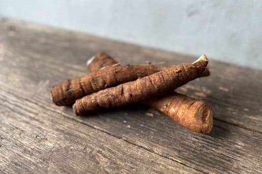 Burdock Root