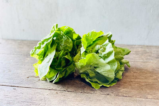 Organic Butter Lettuce