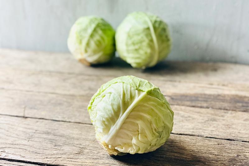 Green Cabbage - Jumbo