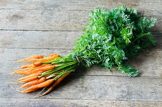 Organic Baby Orange Carrot With Tops