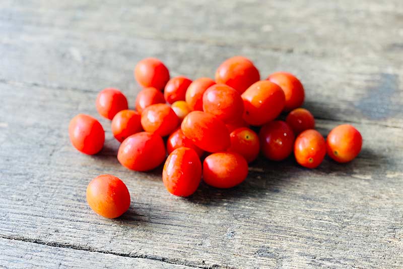 Cherry Tomato