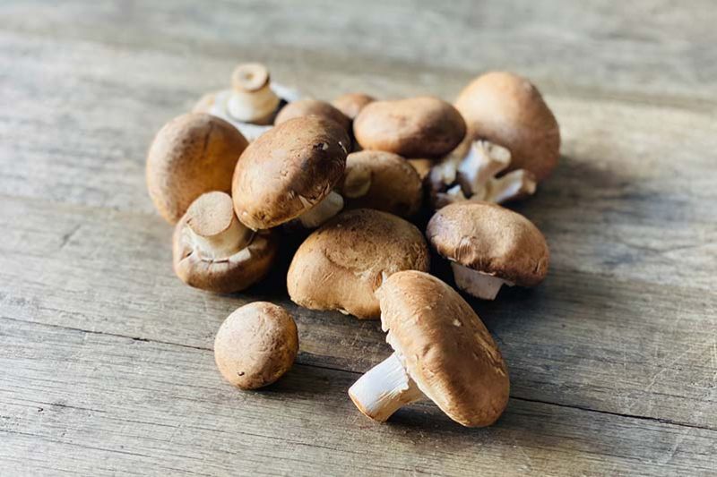 Organic Keiki Crimini Mushroom (Wholesale)