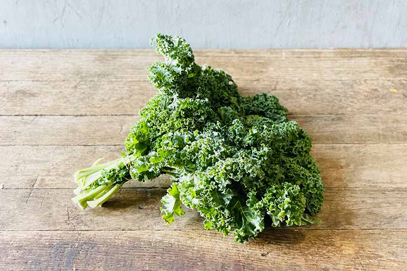 Organic Curly Kale