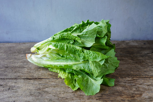 Organic Dino Lettuce