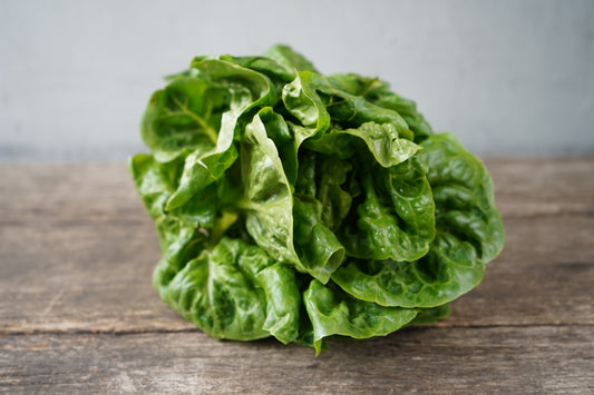 Junior Romaine Lettuce (Little Gem)
