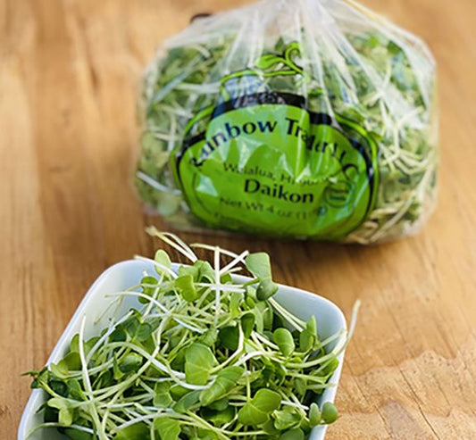 Daikon Kaiware Sprouts