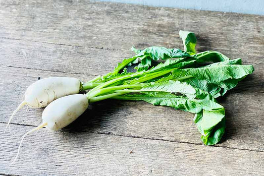 Organic White Daikon With Tops