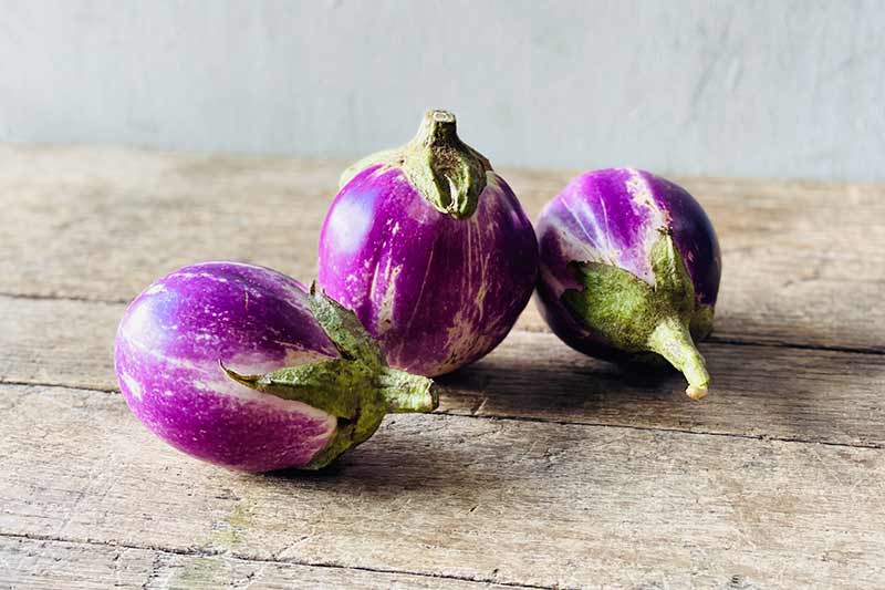 Organic Rosa Bianca Eggplant