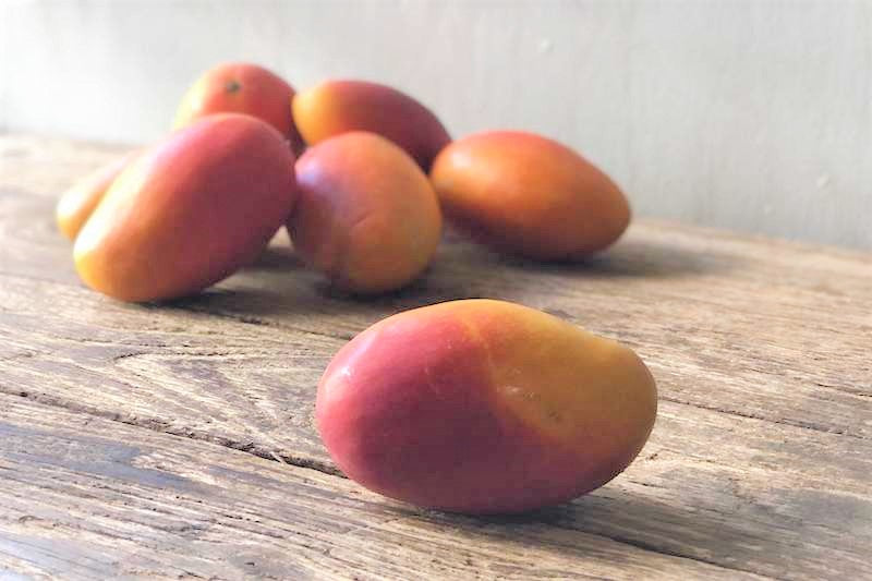 Excel Mango Farm Link Hawaiʻi