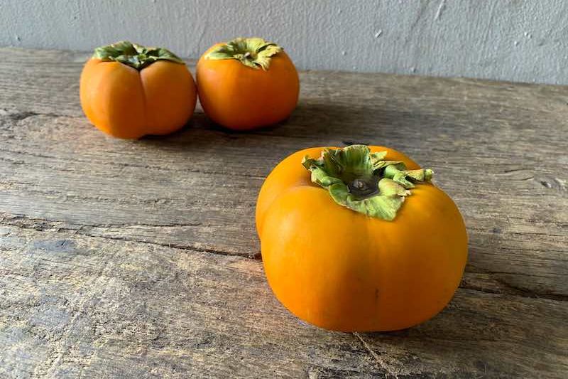 Fuyu Persimmon