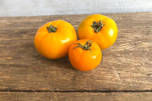 Heirloom Tomato