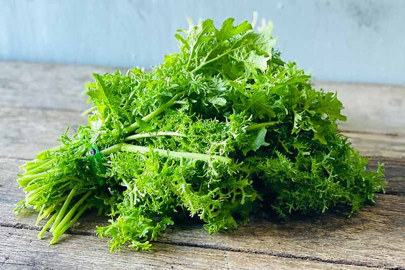 Organic Golden Frill Mustard Greens