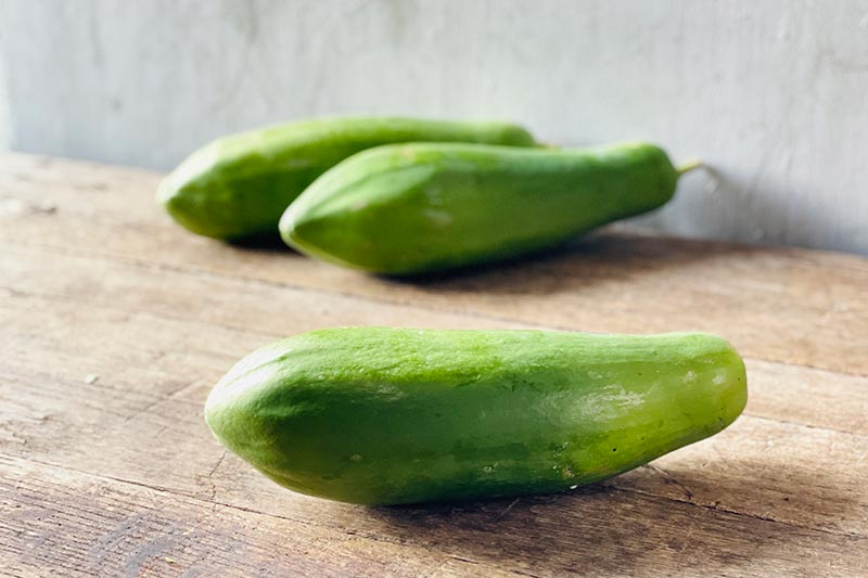 Organic Green Papaya