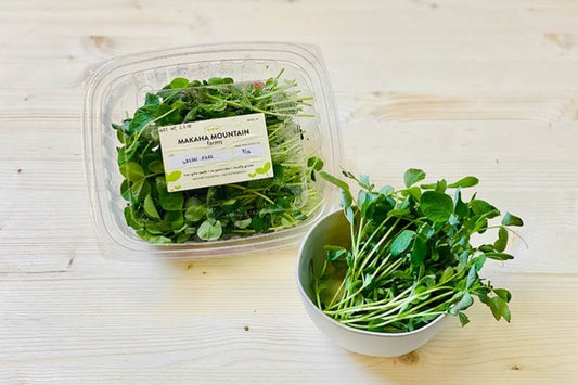 Green Pea Microgreen