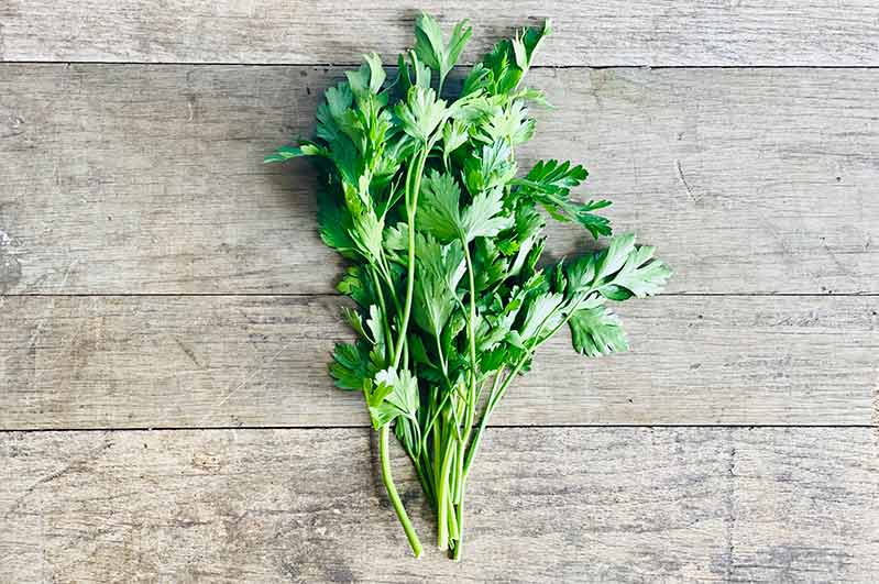 Italian Parsley