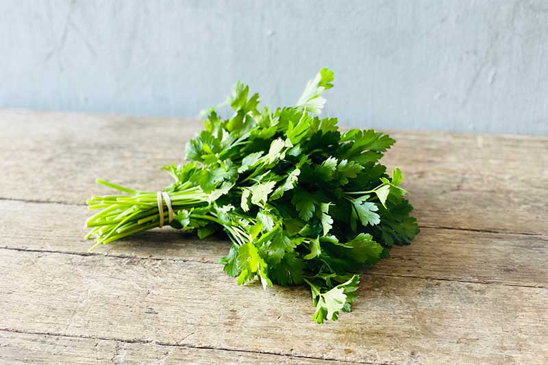 Organic Italian Parsley