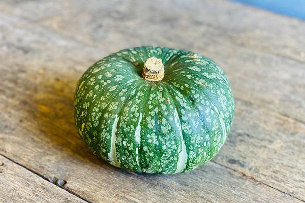 KABOCHA ページ Kabocha Squash – Farm Link Hawaiʻi