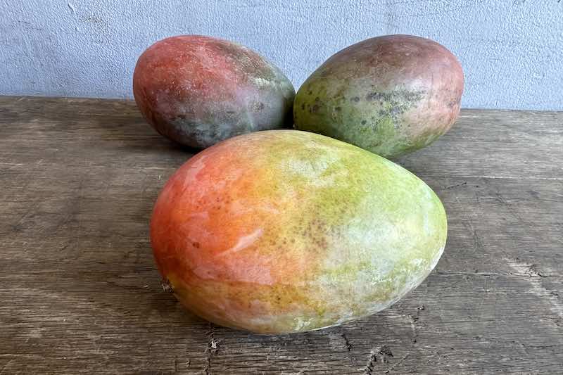 Keitt Mango - Jumbo