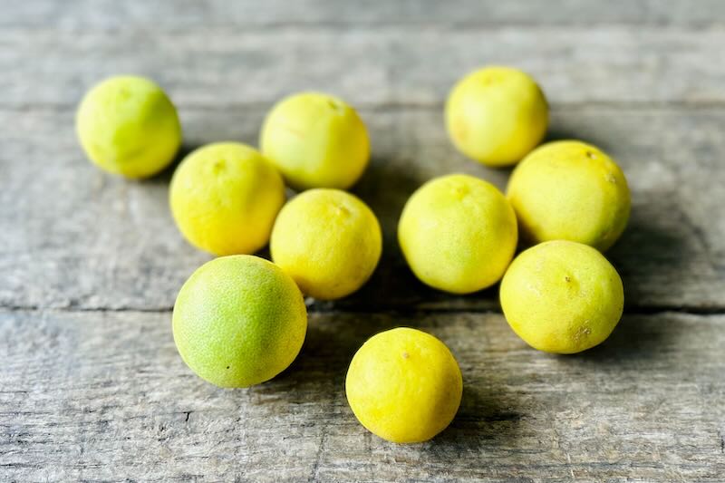 Key Lime – Farm Link Hawaiʻi